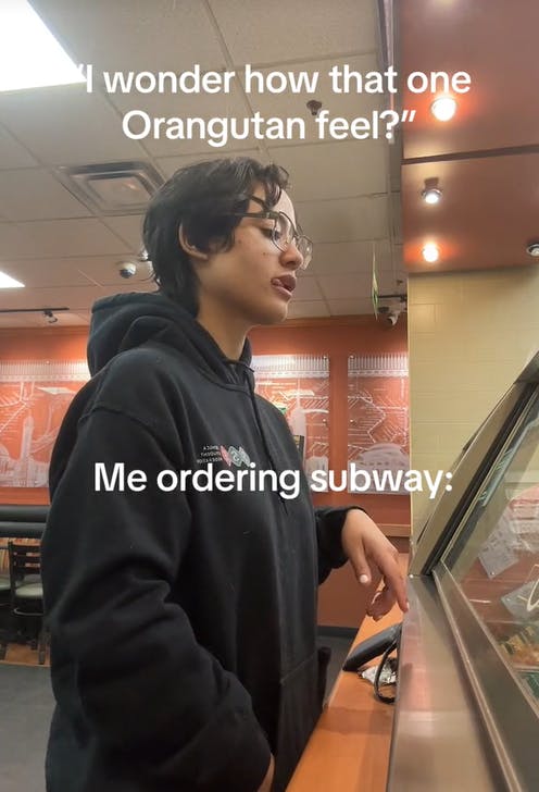 Pointing orangutan meme about ordering at Subway.