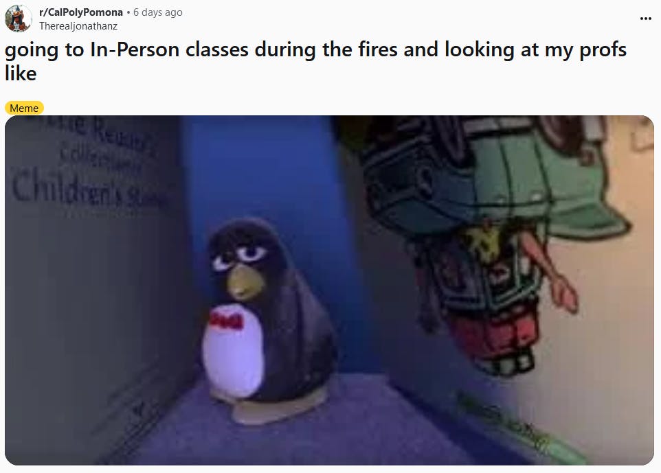 Sad Penguin meme about going to class during wildfire season.