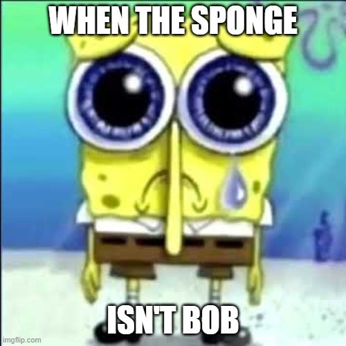 'when the sponge isn't bob'