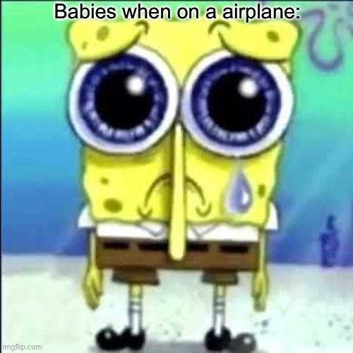 'babies when on an airplane'