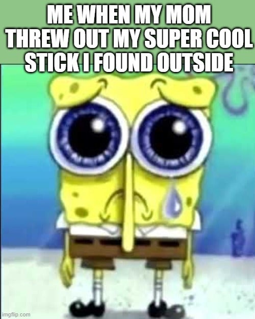 'me when my mom threw out my super cool stick i found outside' sad spongebob meme