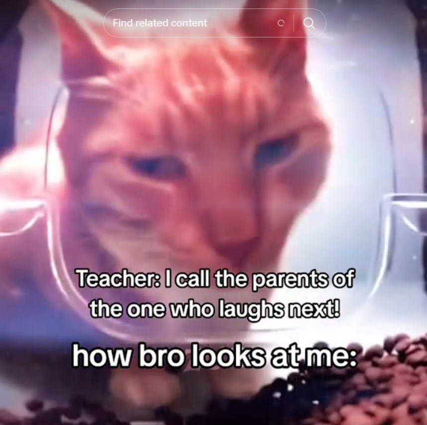 side eye cat teacher calling parents meme