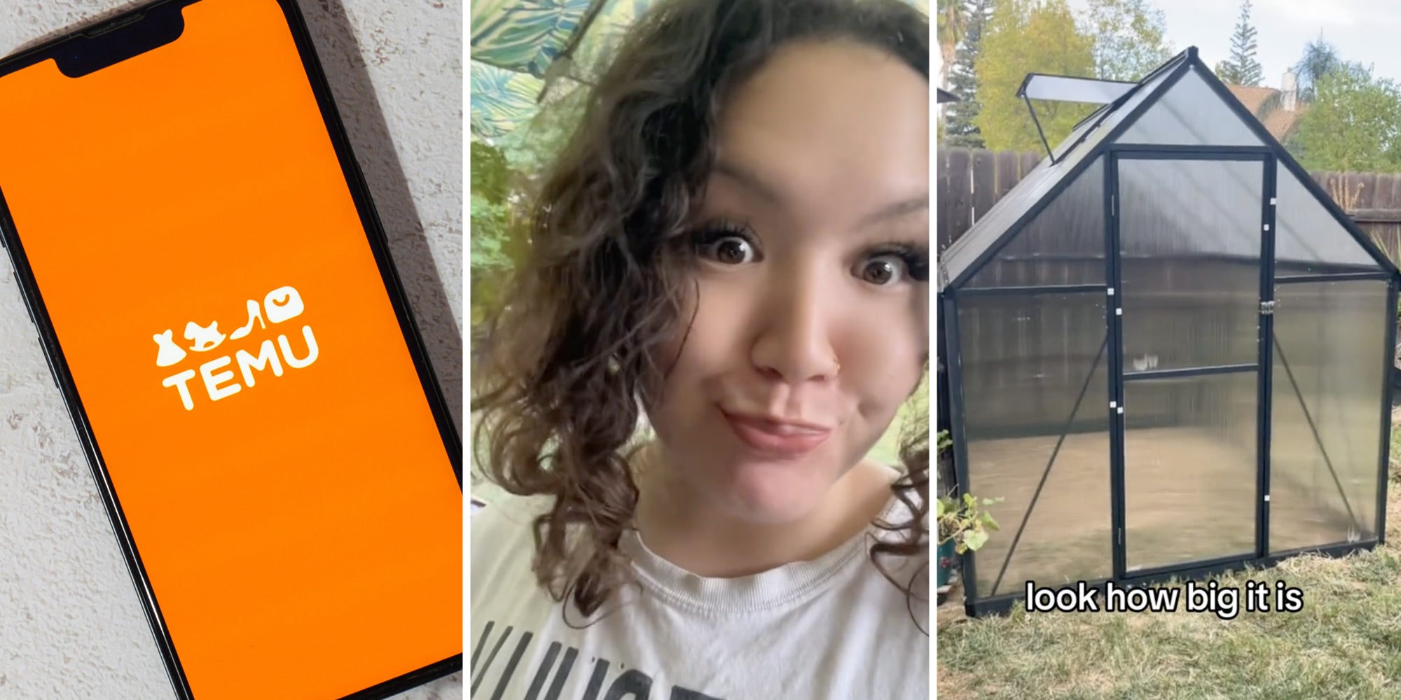 Temu app on phone(l), Woman looking shocked(c), Greenhouse in yard(r)