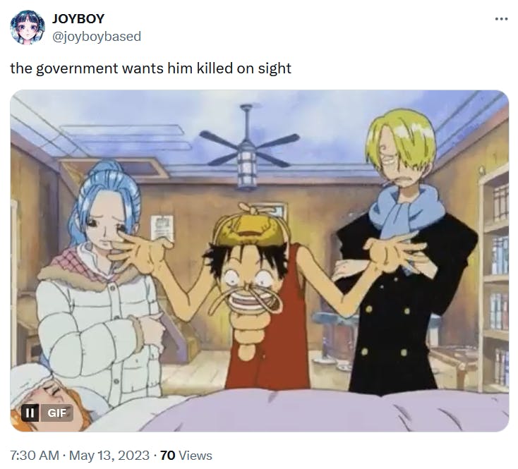 The government wants him killed on sight meme from One Piece.