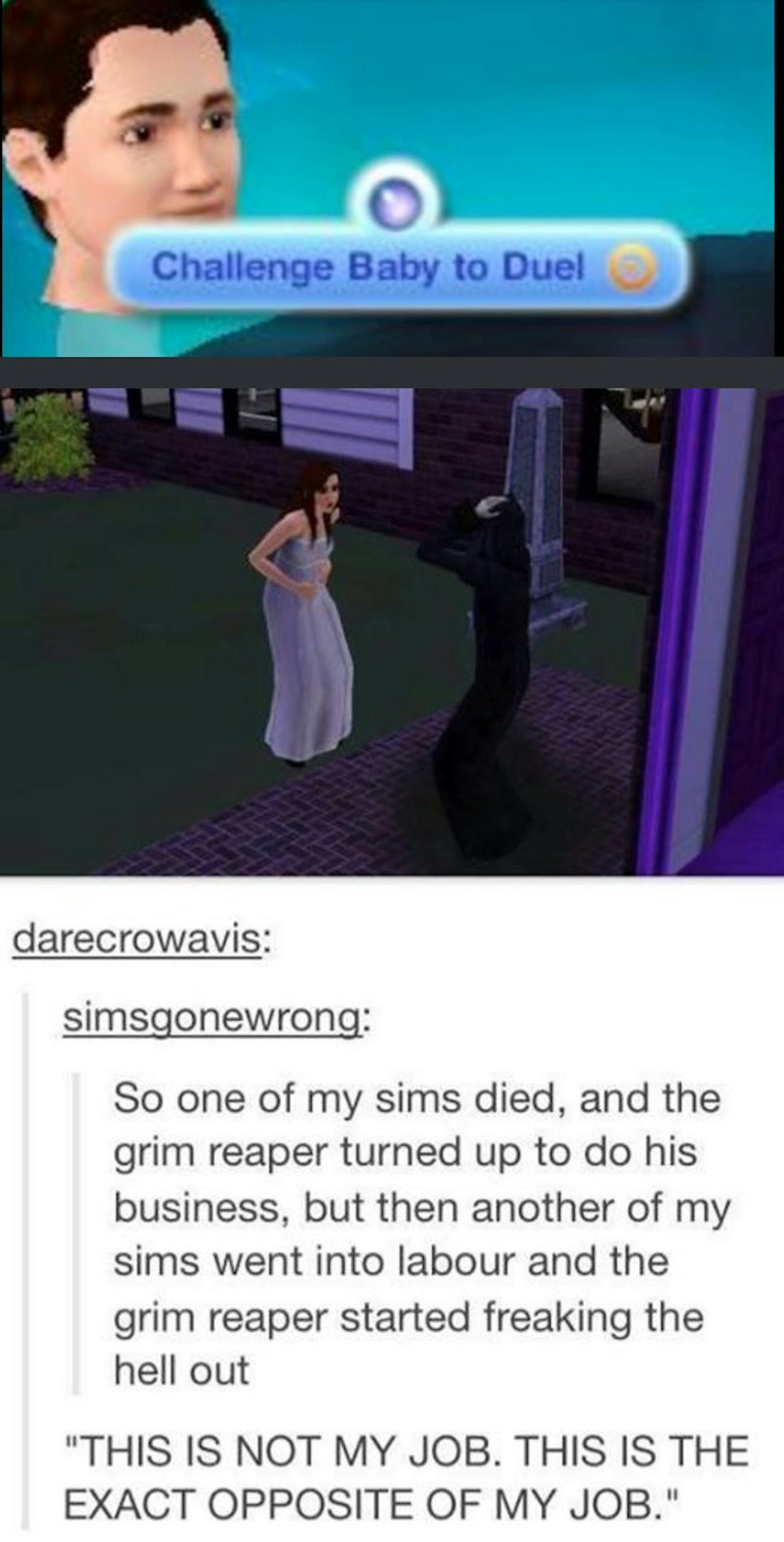 The Sims Memes