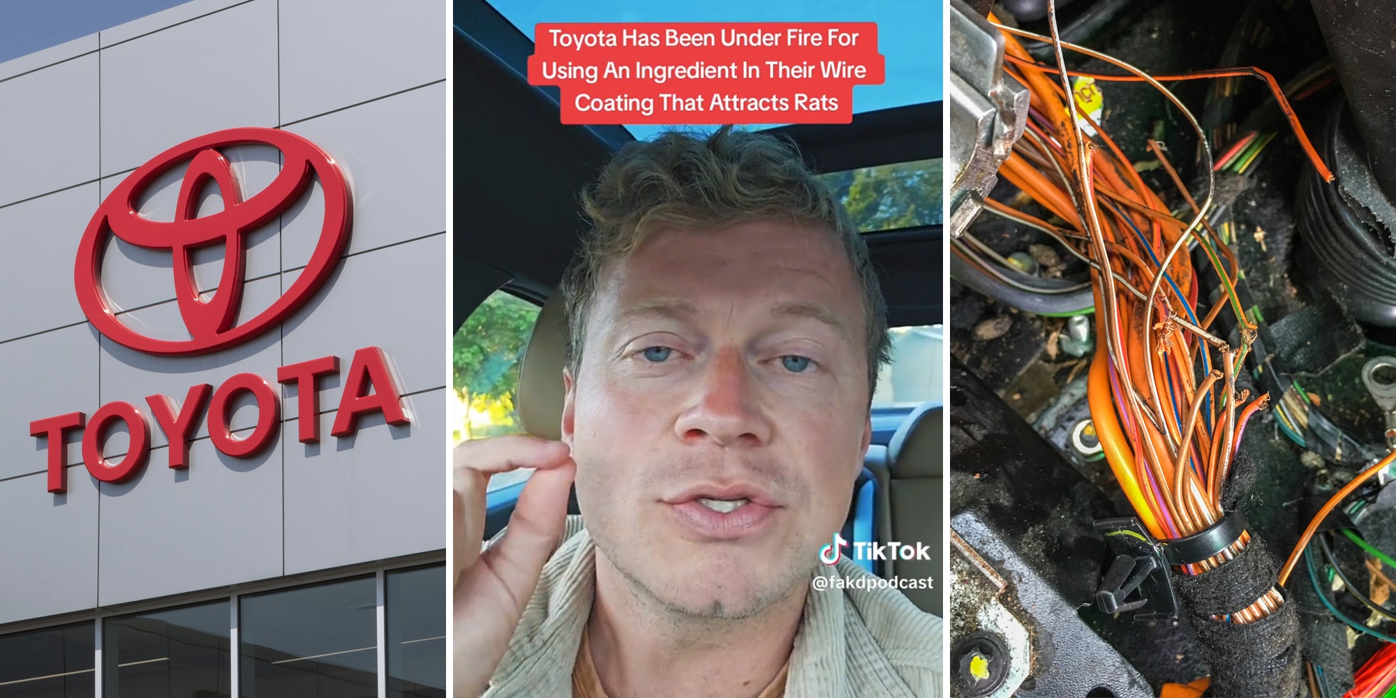 toyota logo (l) man in car with caption 'toyota has been under fire for using an ingredient in their wire coating that attracts rats' (c) chewed up engire wires (r)