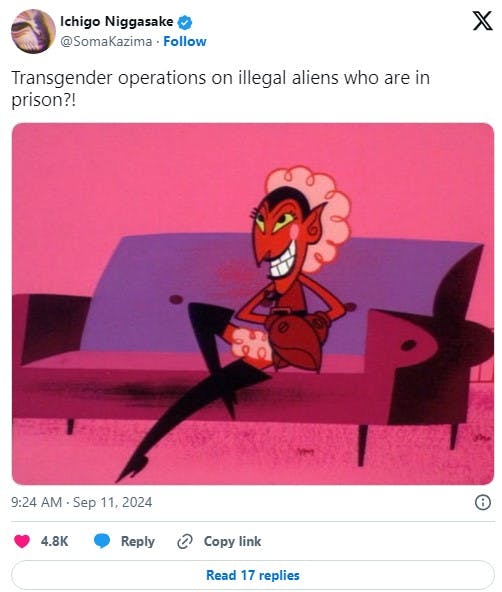 'Transgender operations on illegal aliens who are in prison?!' tweet with photo of Him from the Powerpuff Girls