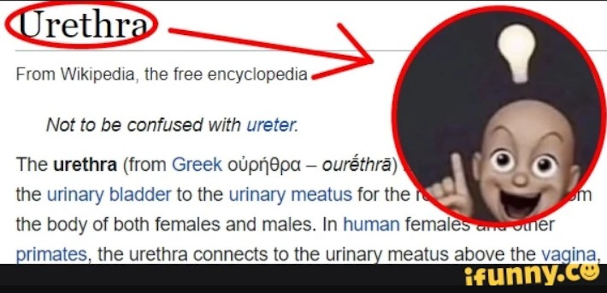 The URETHRA!! Meme Origins, Examples, Variations