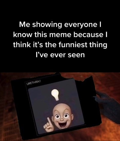 'me showing everyone i know this meme because i think its the funniest thing i've ever seen'