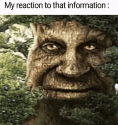 My reaction to that information meme tree face GIF