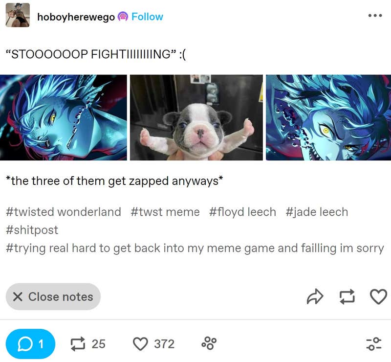 Stop Fighting Dog Meme: The Enduring Appeal Of T-Pose Puppy