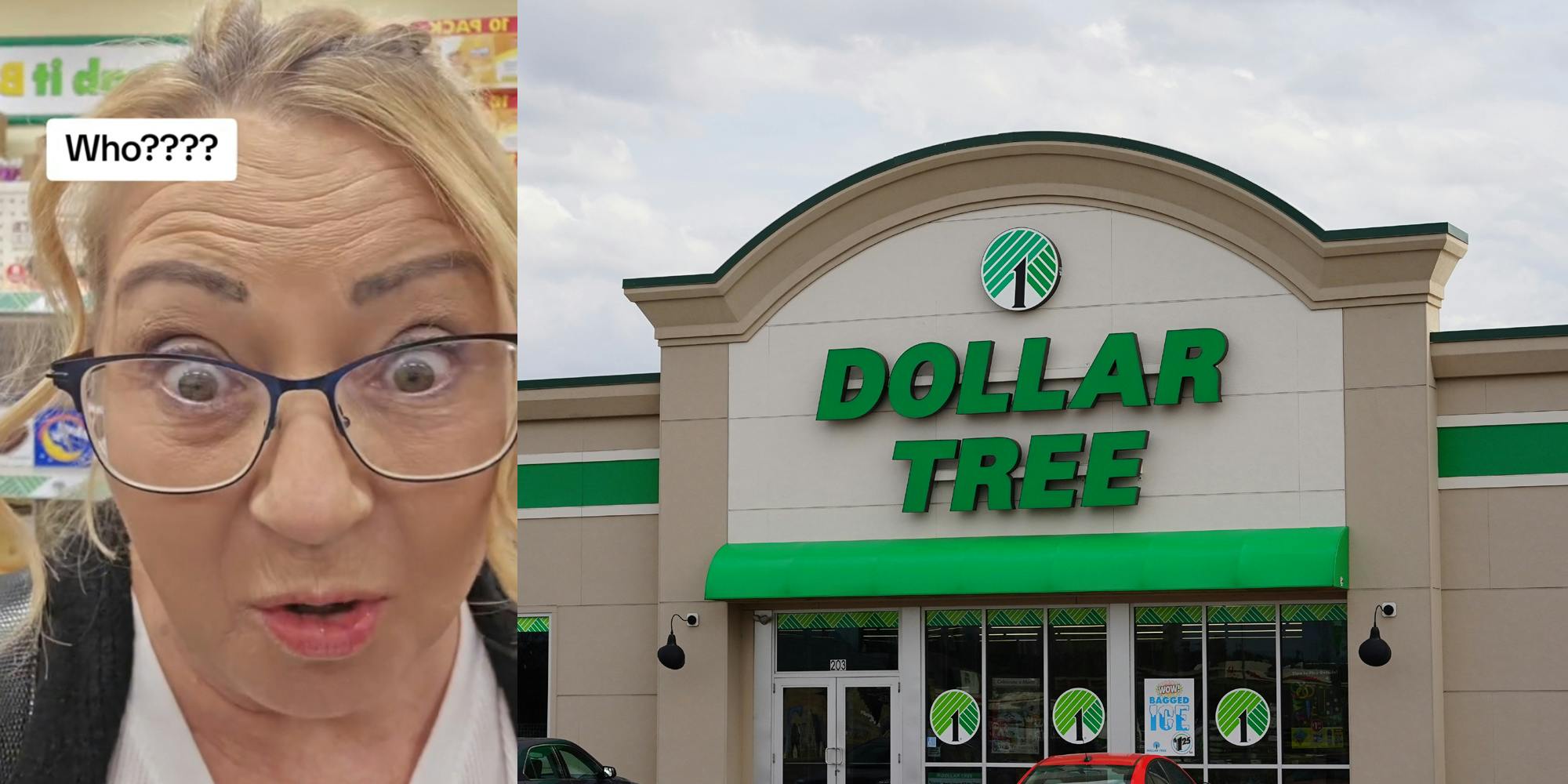 A woman speaking to the camera next to a Dollar Tree location.