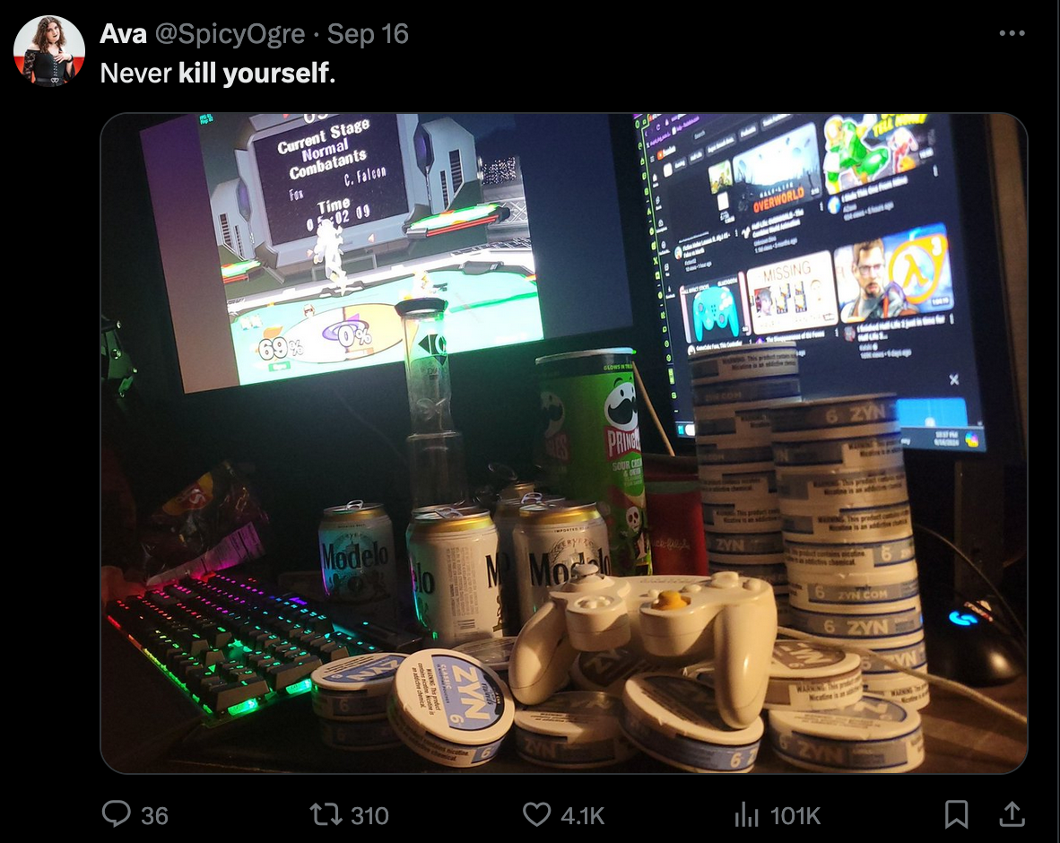 An X post with the caption 'never kill yourself' over a monitor with a computer game, crowded with a bong, beers, chewing tobacco and a can of Pringles.