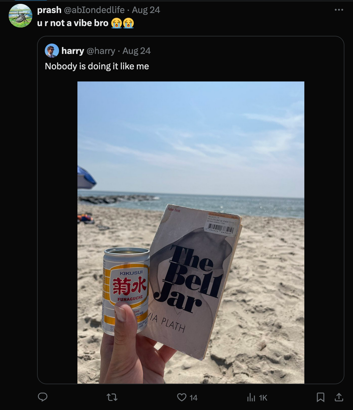 A repost of an X post with an image of a hand holding a beer and Sylvia Plath's 'the Bell Jar,' at the beach. User's response: 'U R Not A Vibe Bro.'