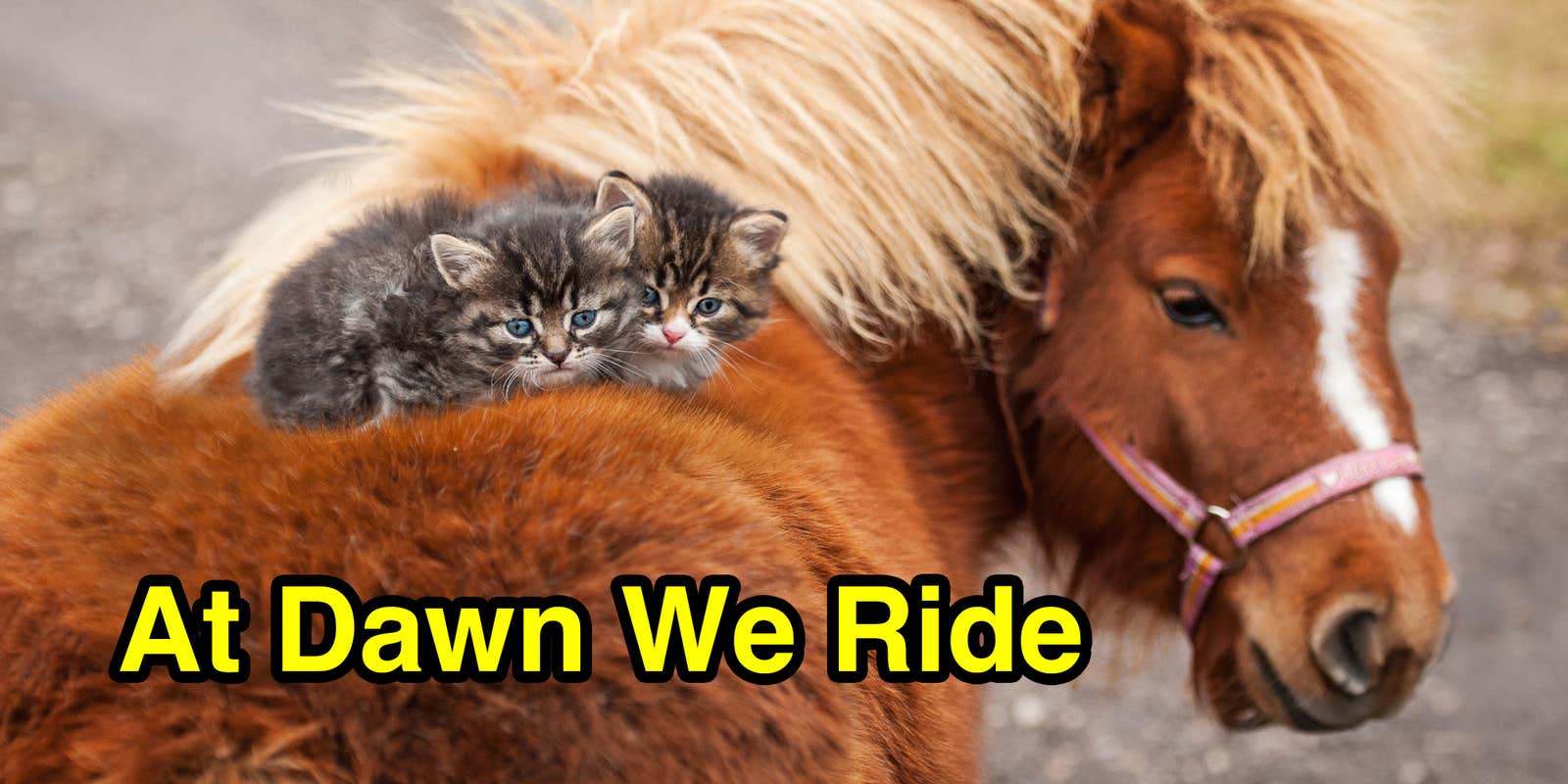 At Dawn We Ride, aka We Ride At Dawn: Meme Origins