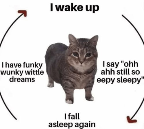 eepy cycle