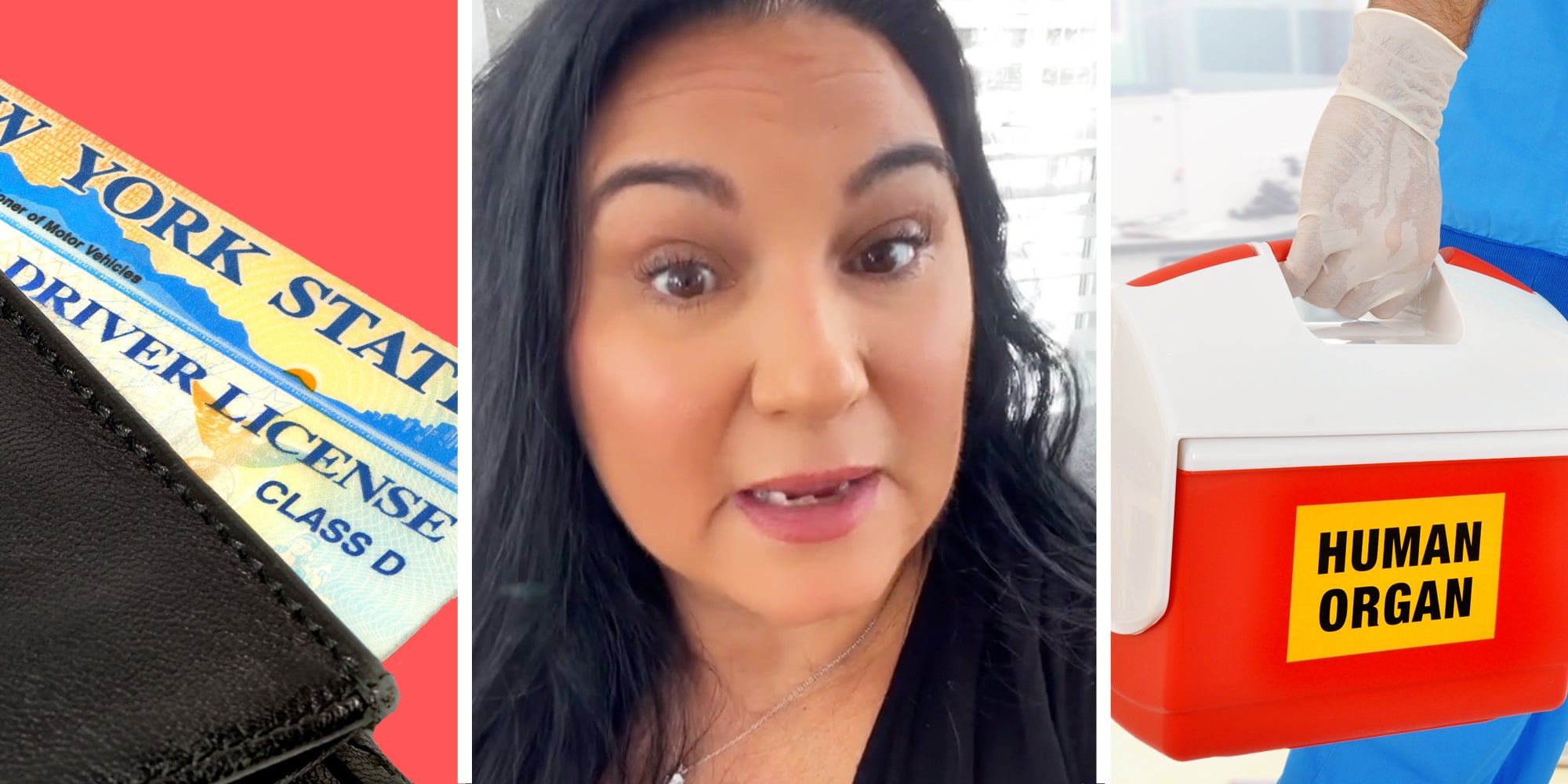 Driver License in wallet(l), Woman talking(c), Doctor holding cooler with sticker that says 'human organ'(r)