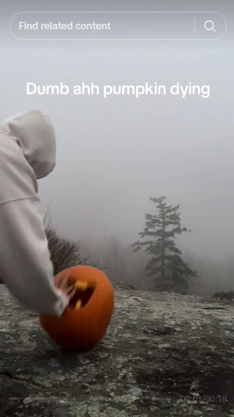 dumb ahh pumpkin gets pushed downhill