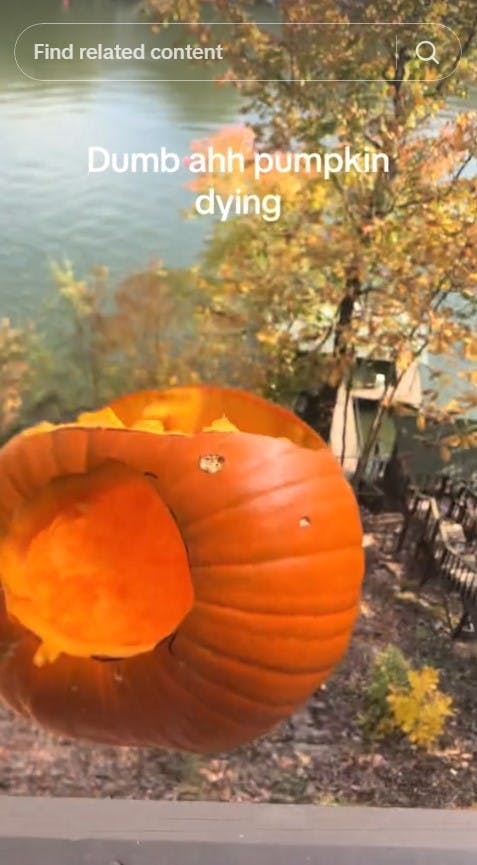 dumb ahh pumpkin pushed off ledge