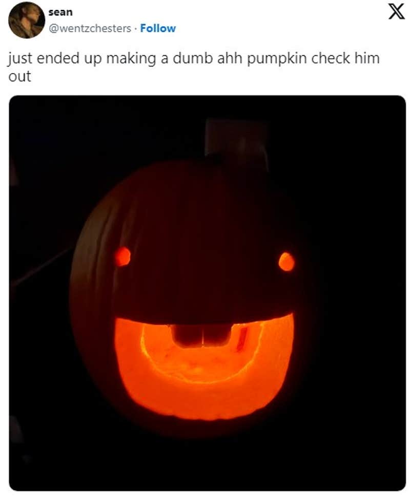 What Is The 'Dumb Ahh Pumpkin' Meme On TikTok?(01)