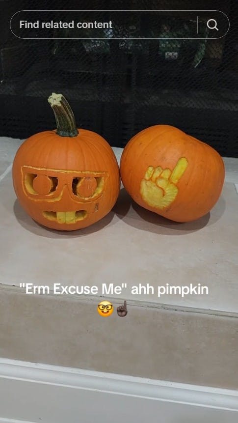 erm excuse me ahh pumpkin