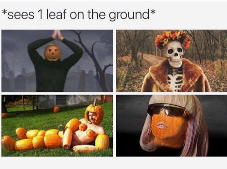 Halloween meme with a series of silly pumpkin- and skeleton-themed images. Text reads, '*sees 1 leaf on the ground*'