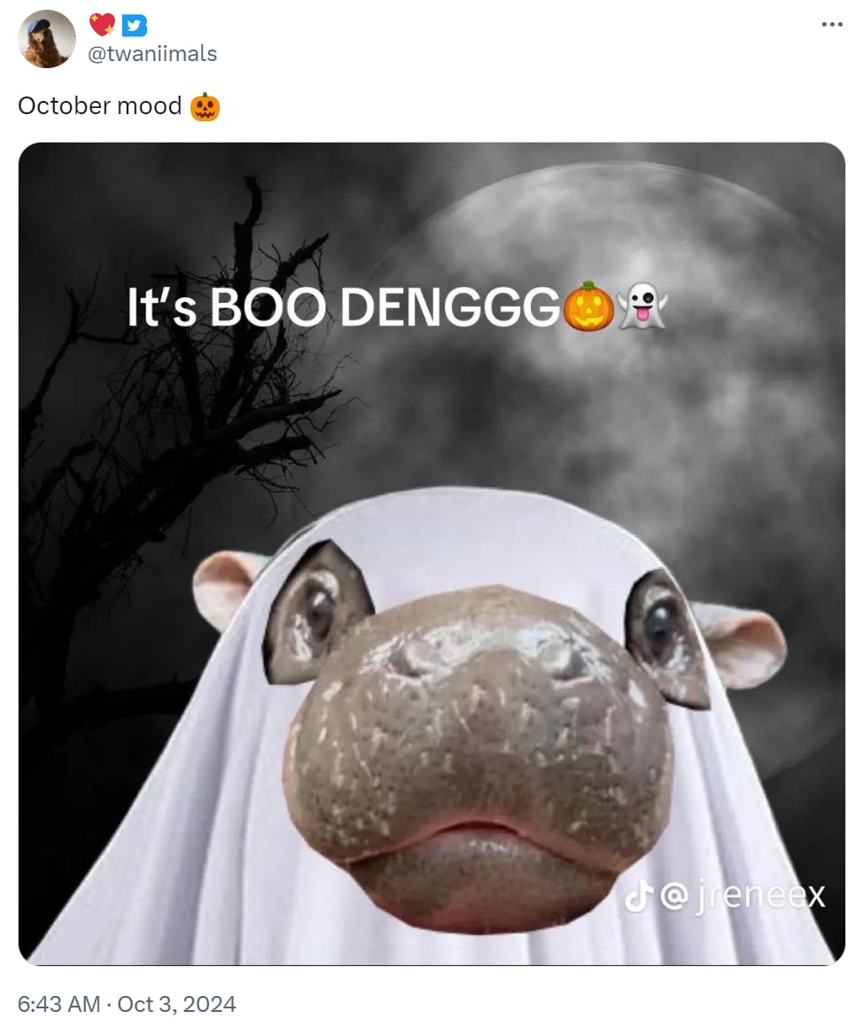 Tweet that reads, 'October mood.' with a photo of Moo Deng in a ghost sheet costume.