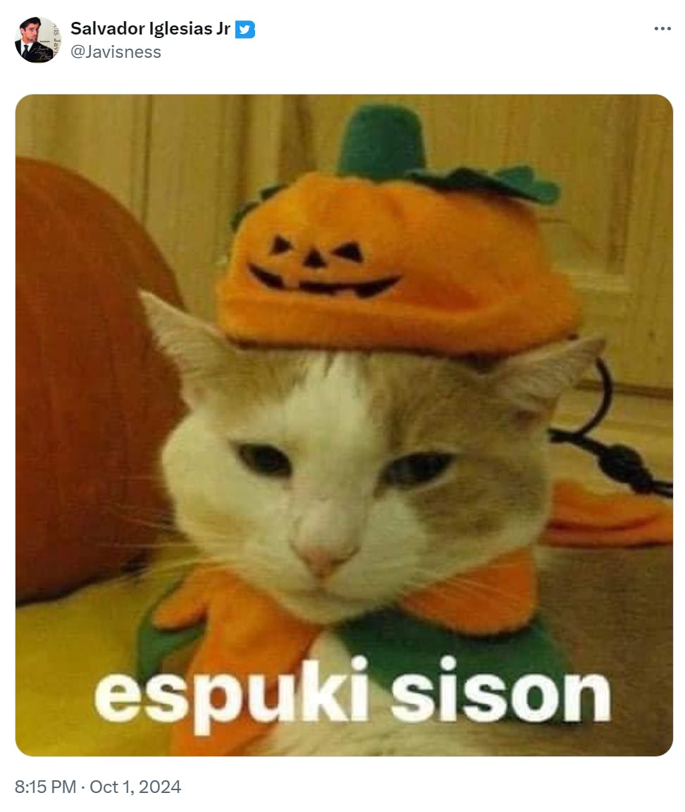 Photo of an orange cat with a pumpkin hat on. Text reads, 'espuki sison.'