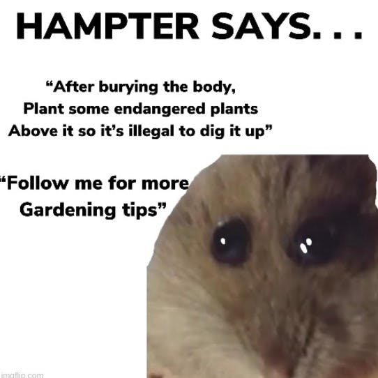 hampter burying body gardening tips meme