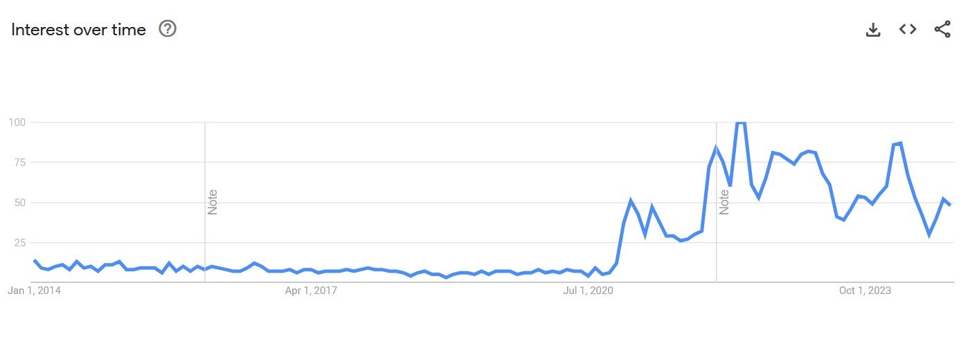 hampter google trends