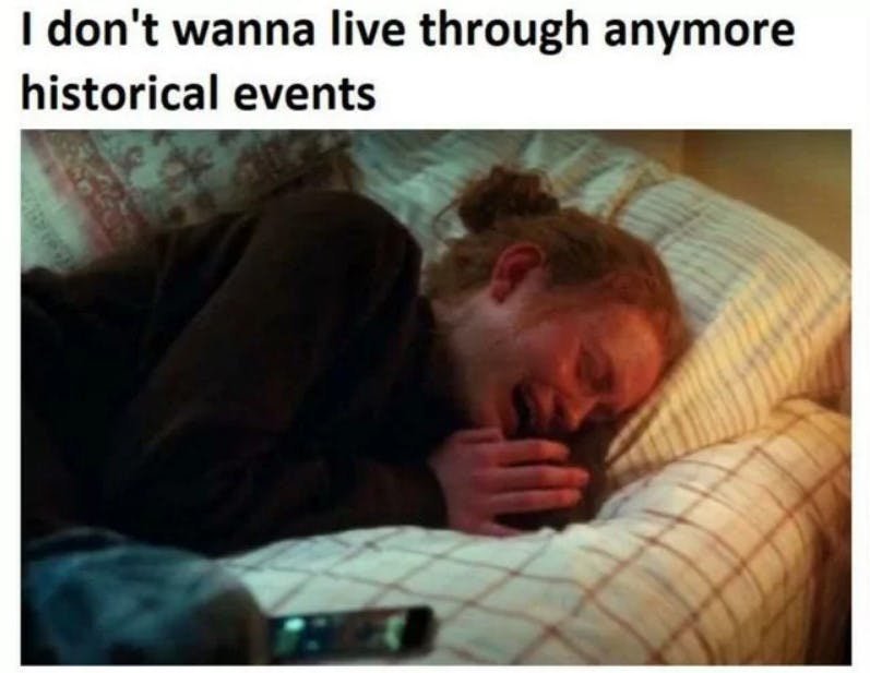 'i don't wanna live through anymore historical events' crying meme