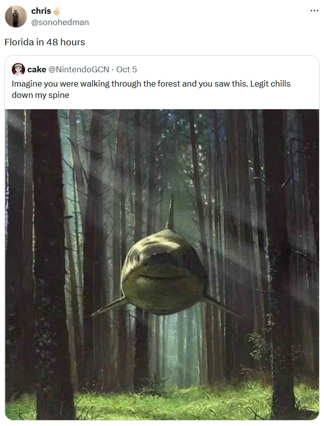 Hurricane Milton meme with an AI image of a shark swimming through a forest.