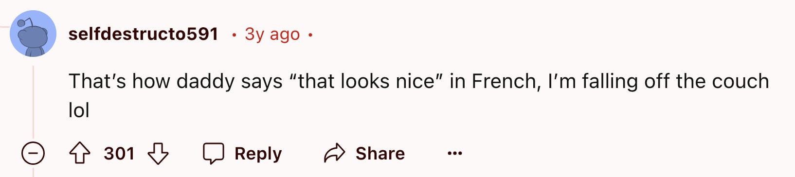 Reddit comment that reads, 'That’s how daddy says 'that looks nice' in French, I’m falling off the couch lol'