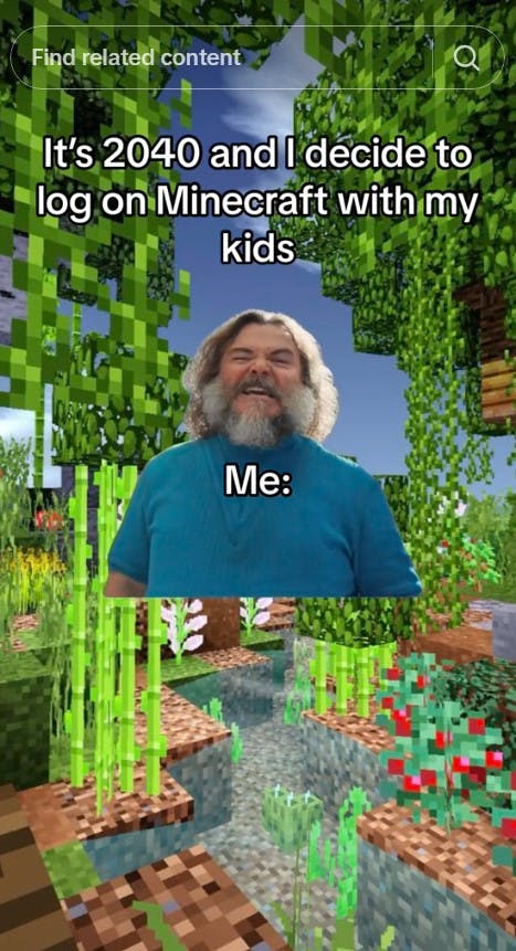 playing minecraft in 2040 i am steve