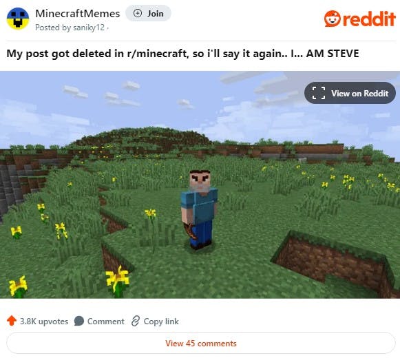 minecraft steve