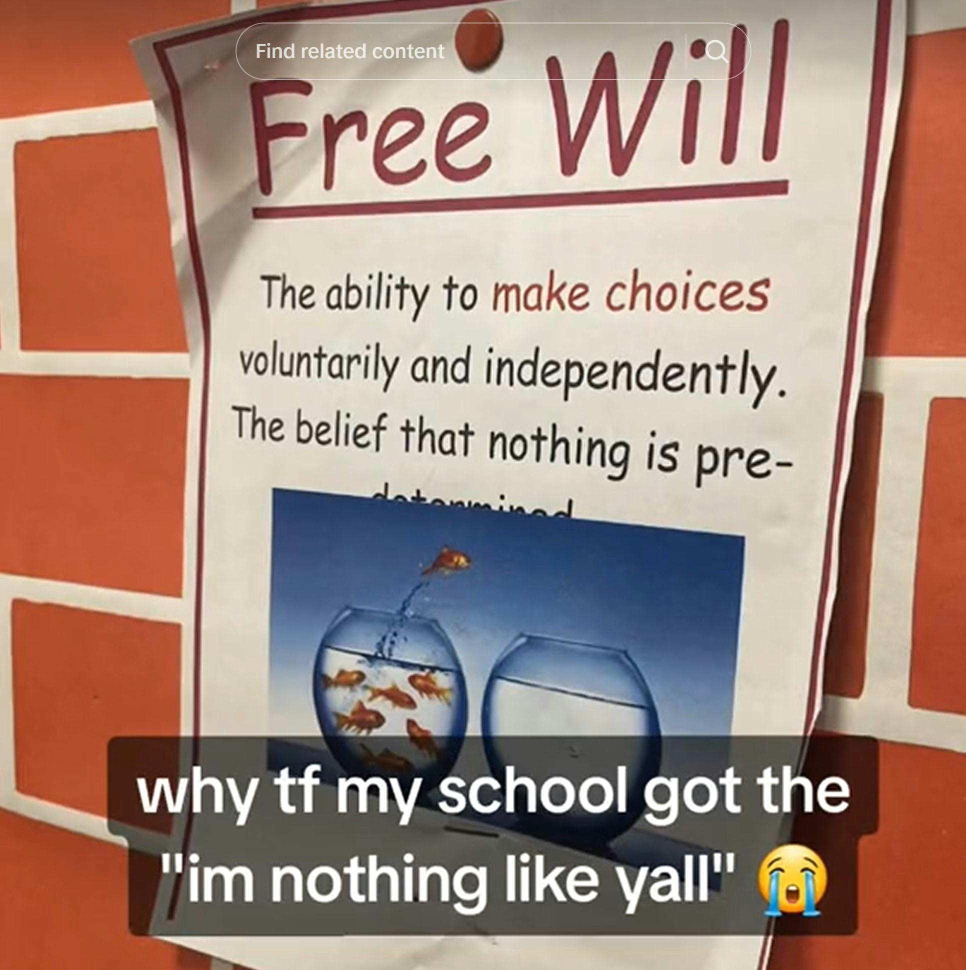 free will inspirational poster i'm nothing like yall meme