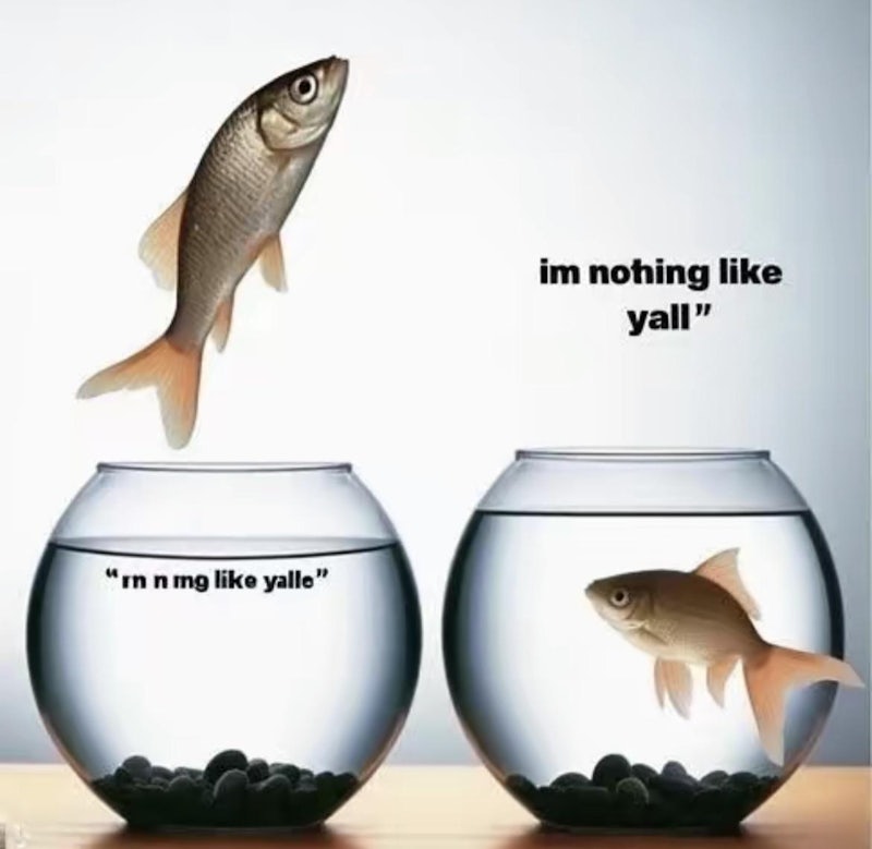 I'm Nothing Like Y'all: A Fish Meme