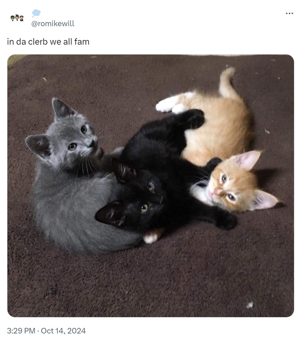 in da clerb we all fam meme featuring three kittens snuggling on the floor.