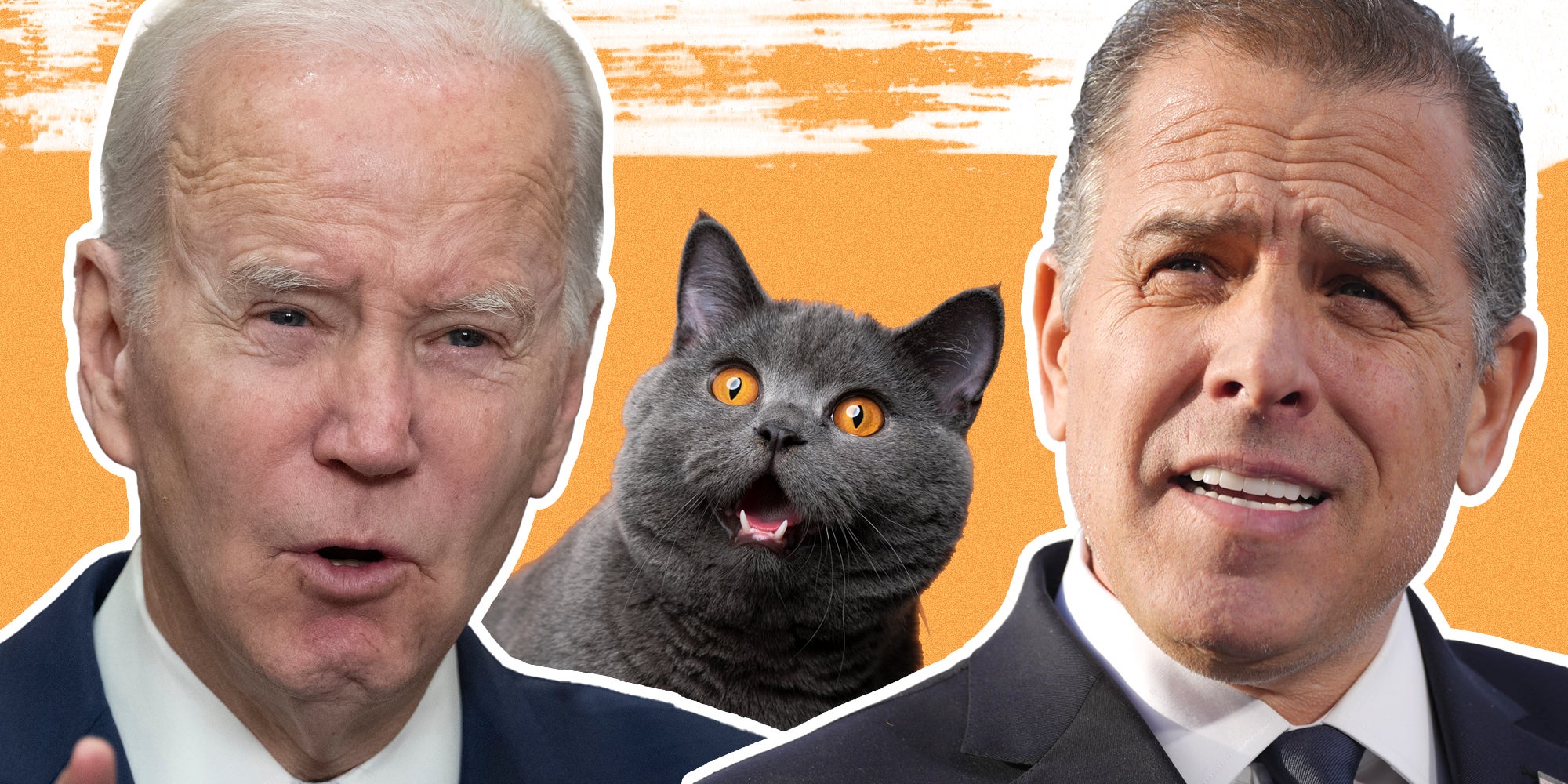 Joe Biden, cat, Hunter Biden