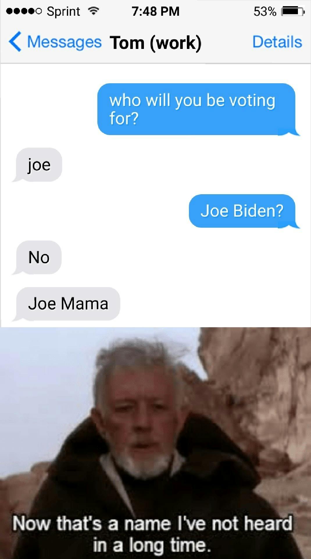 voting for joe mama meme