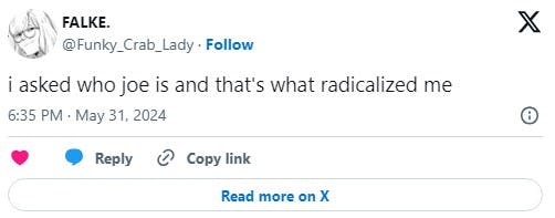 tweet that reads 'i asked who joe is and that's what radicalized me'