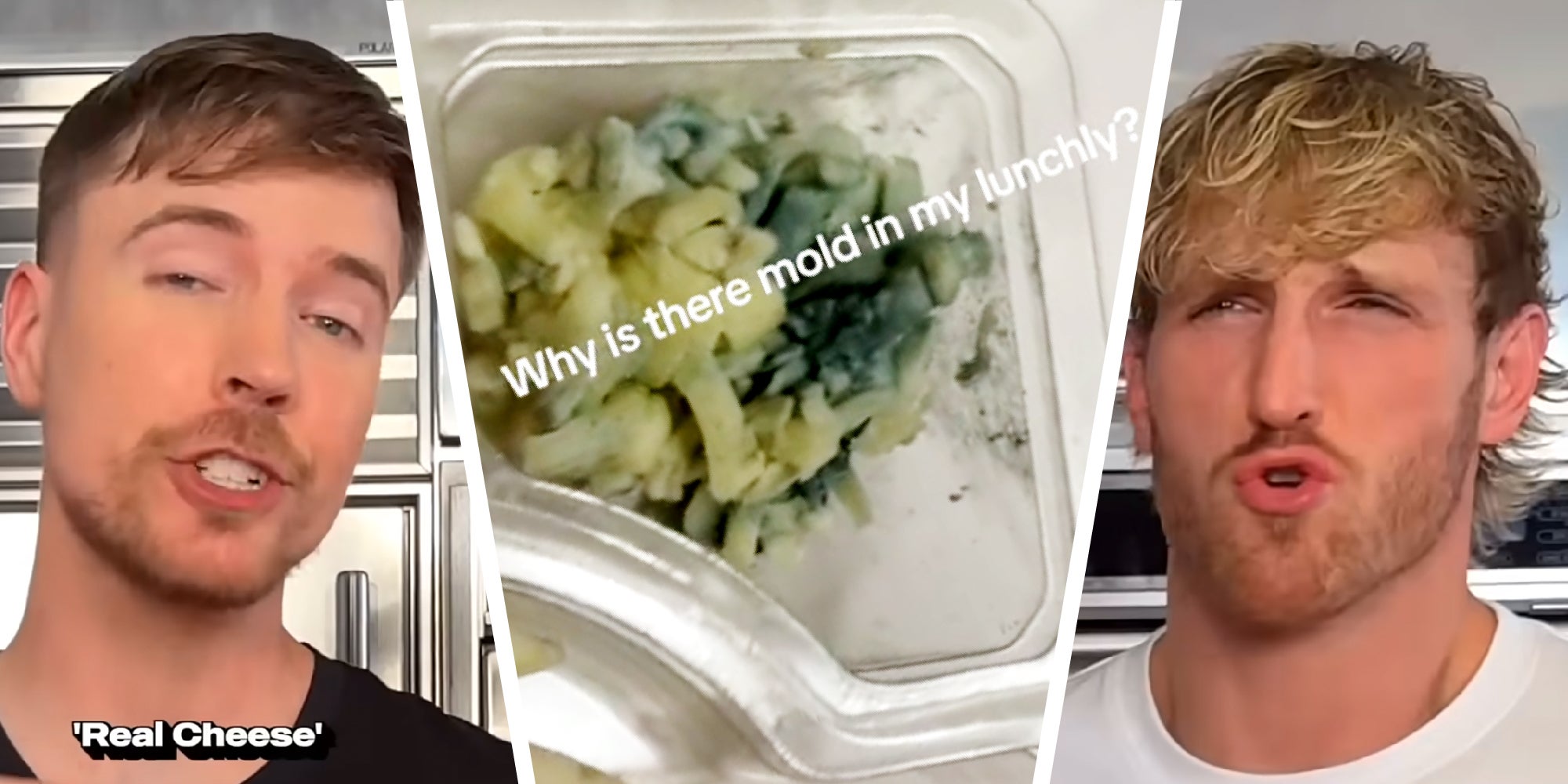 3 panel image shows two people flanking a photo of a moldy cheese prepacked lunch.