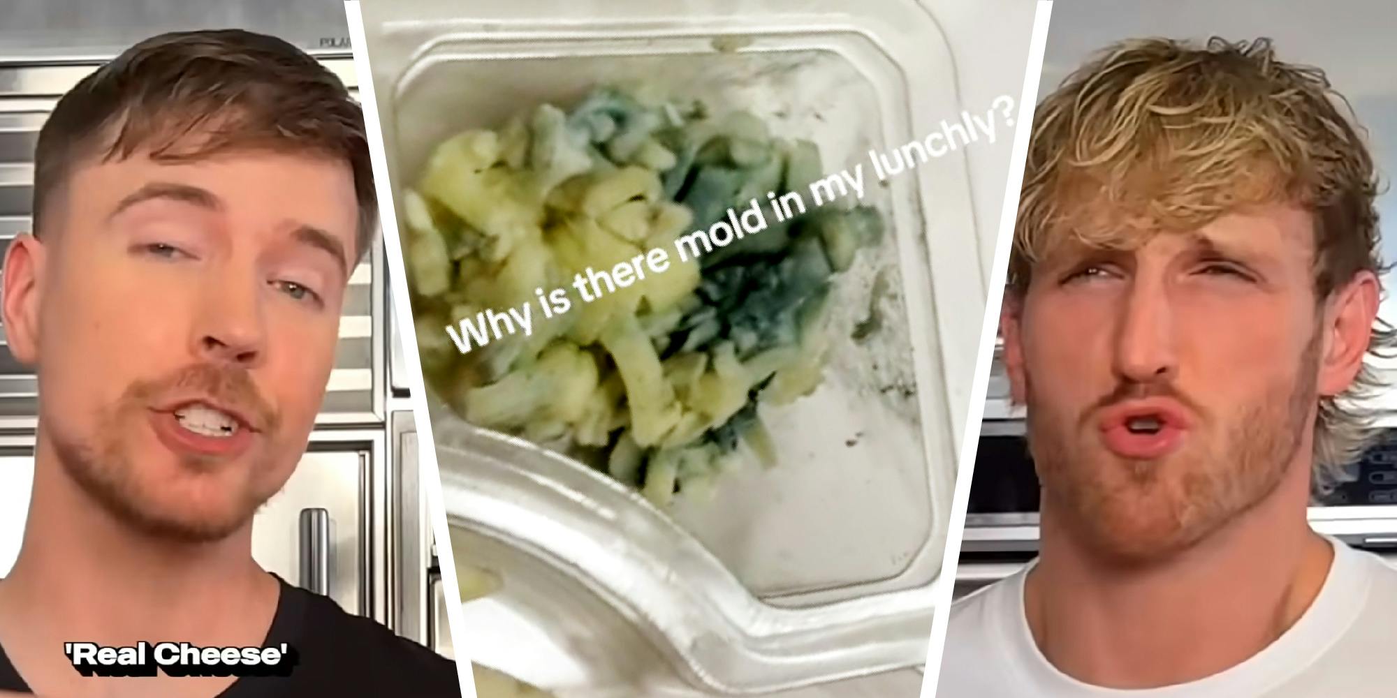 3 panel image shows two people flanking a photo of a moldy cheese prepacked lunch.