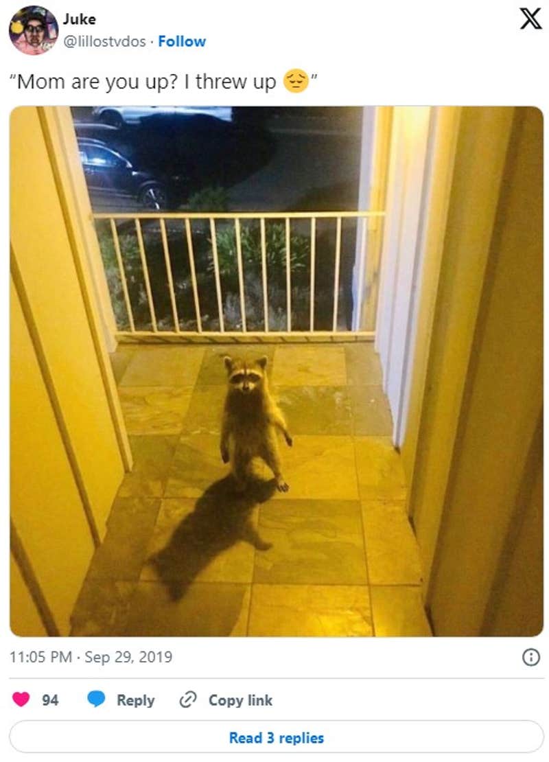 The 'Mom I Threw Up' Meme And Its Many Variations