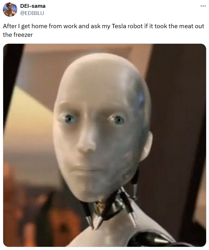 My Tesla Robot meme about asking someone to take meat out of the freezer.