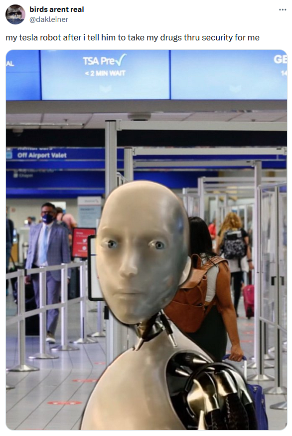 My Tesla Robot meme about the TSA.