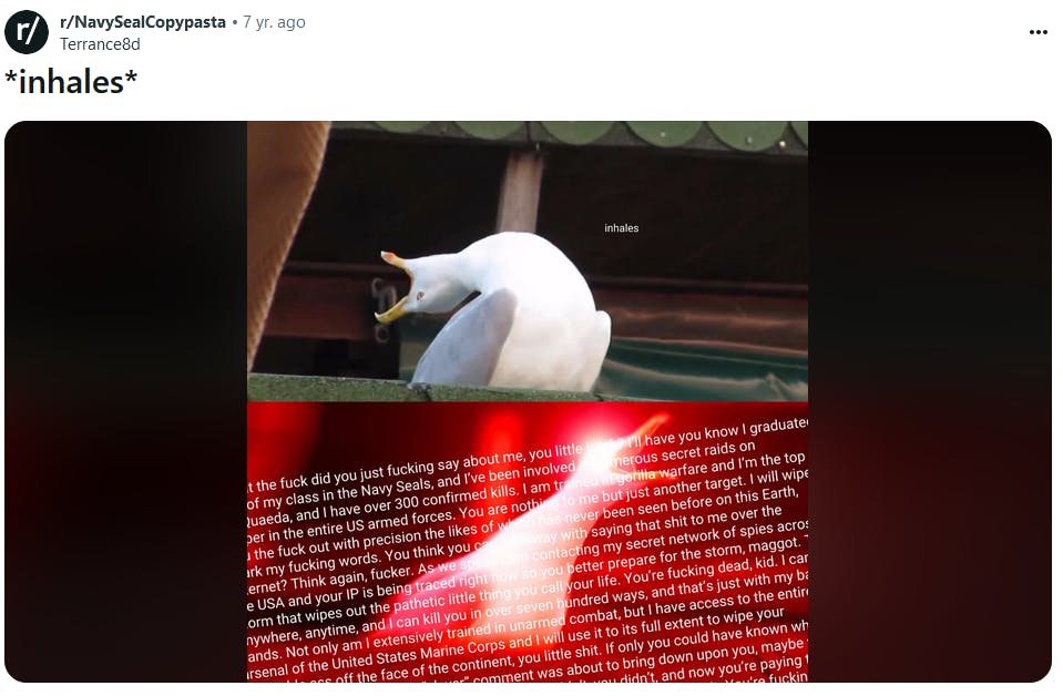 Navy seal copypasta meme in the screaming seagull format.