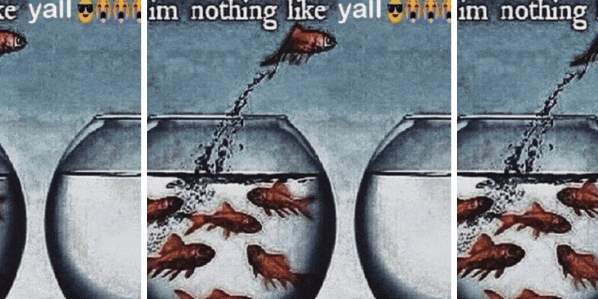 I'm Nothing Like Y'all: A Fish Meme