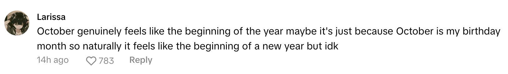 TikTok comment that reads, 'October genuinely feels like the beginning of the year maybe it's just because October is my birthday month so naturally it feels like the beginning of a new year but idk'