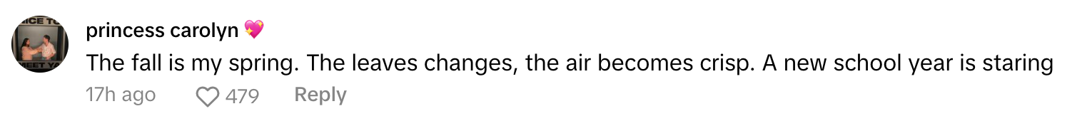 TikTok comment that reads, 'The fall is my spring. The leaves changes, the air becomes crisp. A new school year is staring'